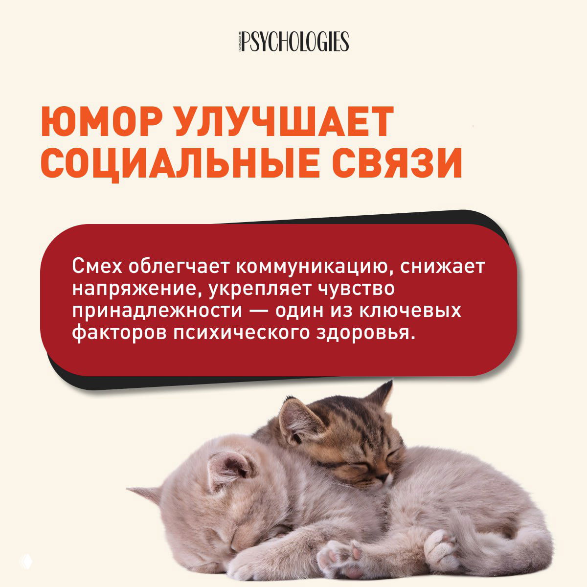 Карточка о том, что юмор улучшает социальные связи; текстовый блок и фотография двух спящих котят внизу — мягкая иллюстрация темы.