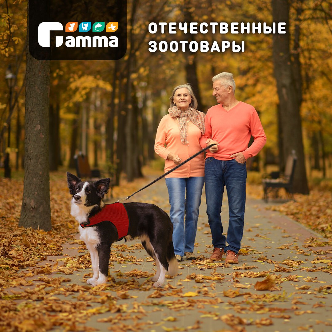 Пожилая пара гуляет в осеннем парке с собакой в красной шлейке; сверху логотип Gamma и надпись «отечественные зоотовары».