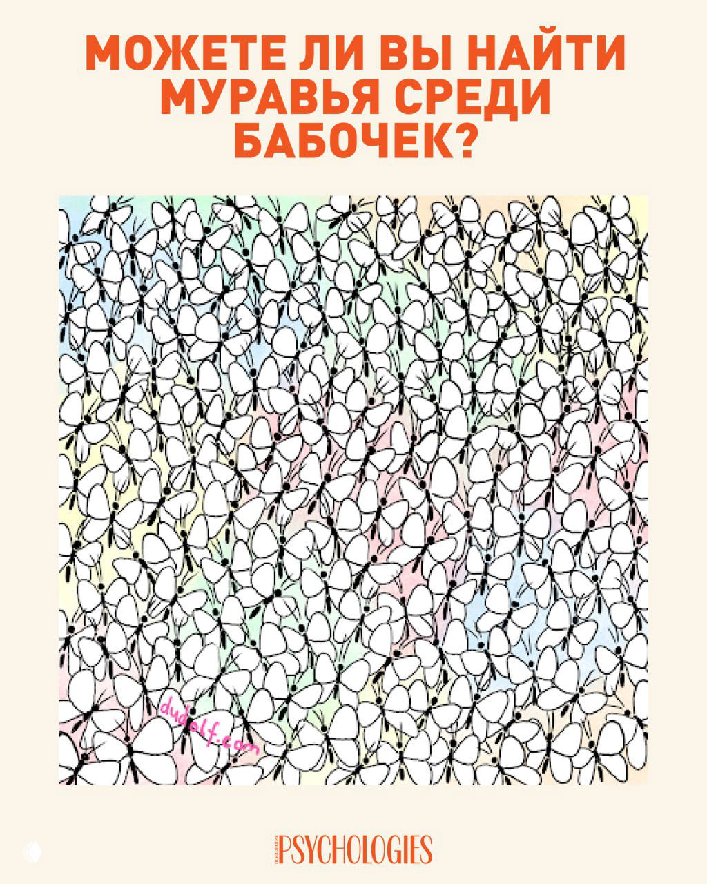 Найдите муравья среди бабочек