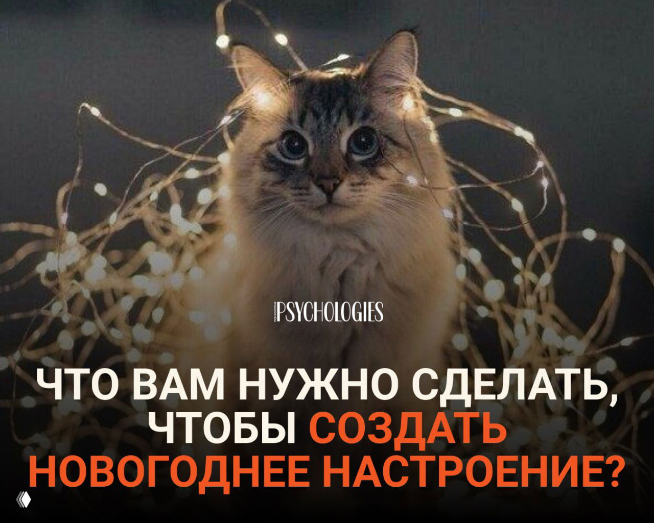 Пушистый кот, окружённый светящими гирляндами из тёплых огоньков на тёмном фоне; поверх — логотип Psychologies и заголовок теста.