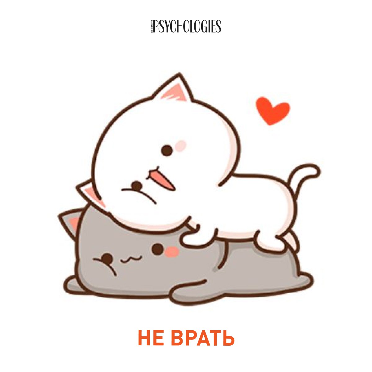 Иллюстрация двух котиков: белый катится поверх серого, рядом маленькое сердечко, логотип Psychologies и подпись 'Не врать'.