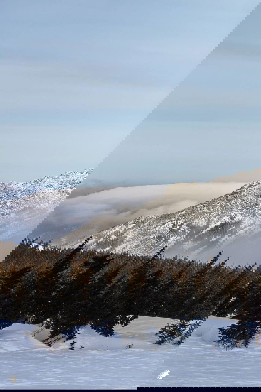 Снежный передний план и скалистая гряда Иремеля, часть хвойного леса внизу и лёгкая дымка над склонами — спокойный зимний пейзаж.