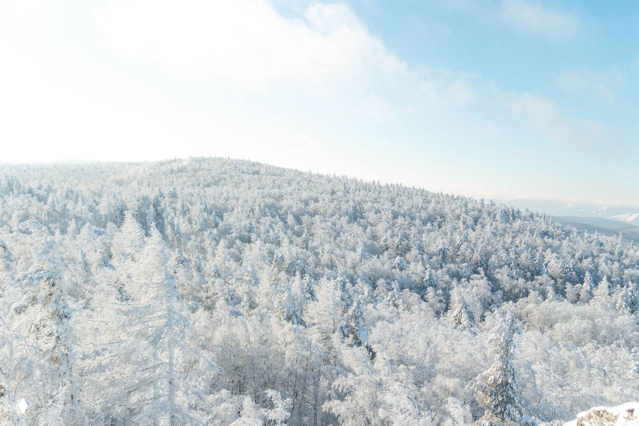 Снежный лес на склоне горы в Башкирии, полностью покрытые инеем хвойные деревья и белая равнина под голубым небом в ясный зимний день.
