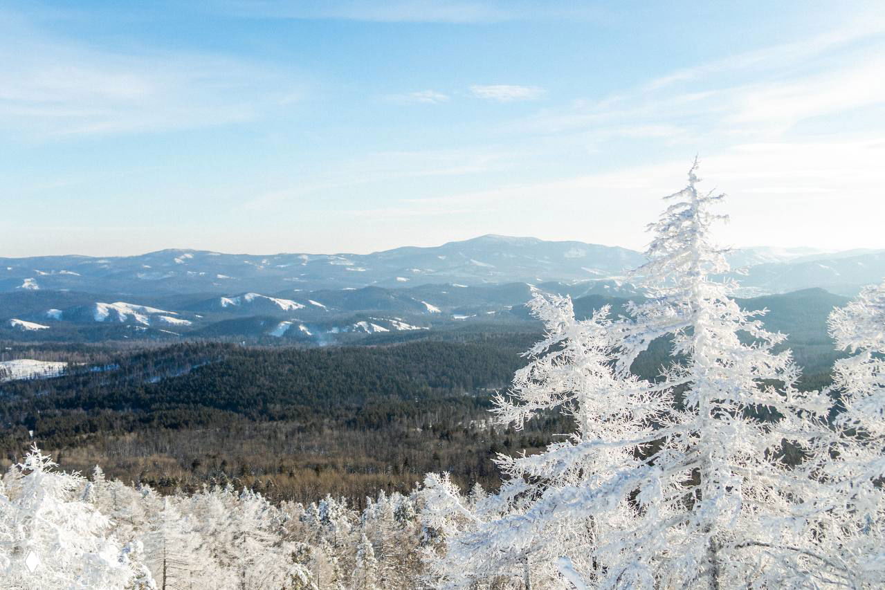 Широкая панорама горного ландшафта Башкирии: вид на серию холмов и долин, на переднем плане покрытые инеем деревья и далёкие синеватые хребты.