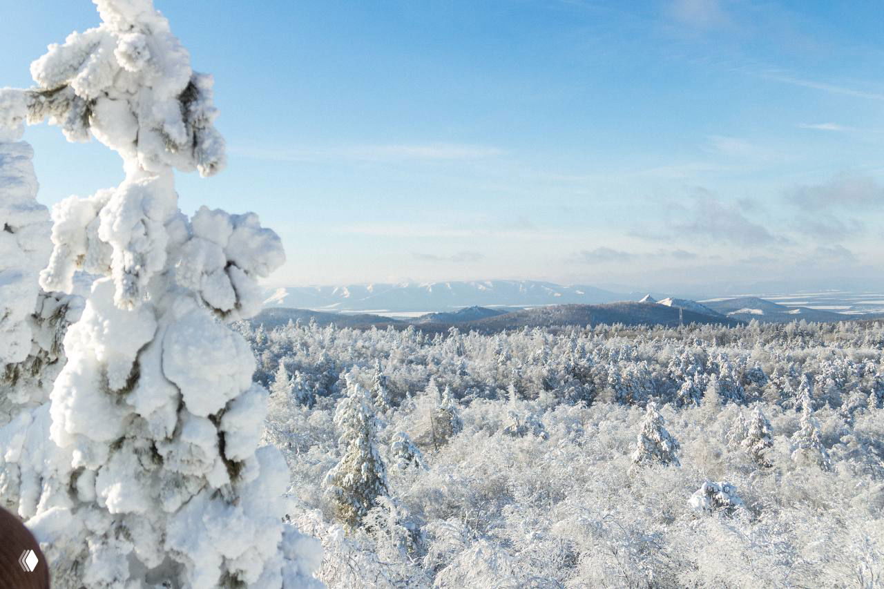 Крупный план заснеженной ветки на фоне далёких заснеженных лесов и холмов Башкирии, подчёркивающий зимнюю текстуру и свет в пейзаже.
