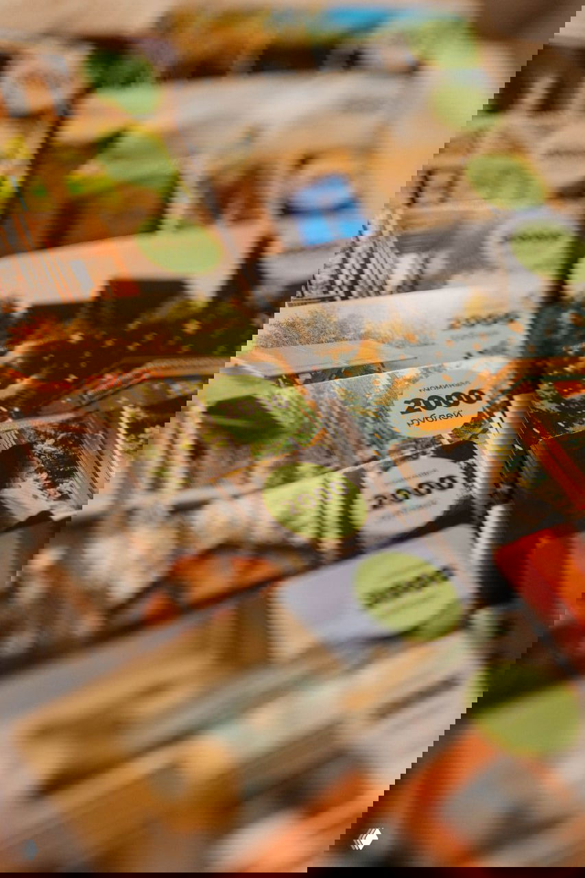 Крупный план карточек с изображениями глэмпингов, ценниками 2000 рублей и превью локаций — визуал сертификатов внутри бокса.