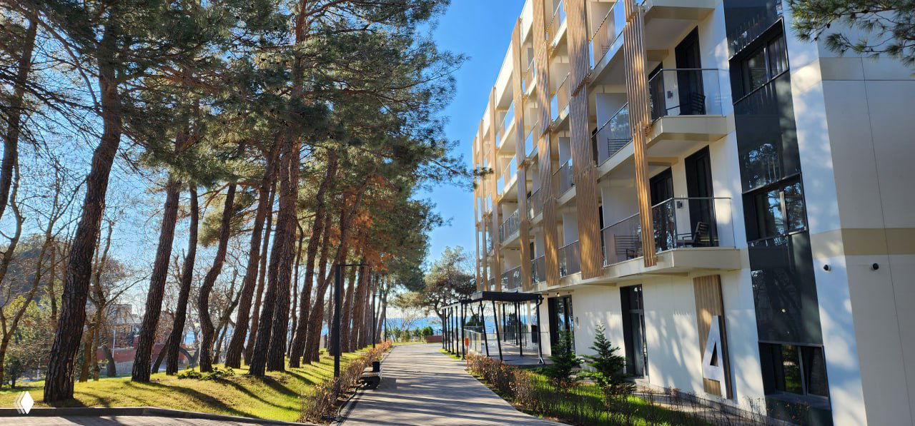 Прогулочная аллея между корпусами санатория и сосновым парком, по центру видно направление к набережной и открытому морю на горизонте.