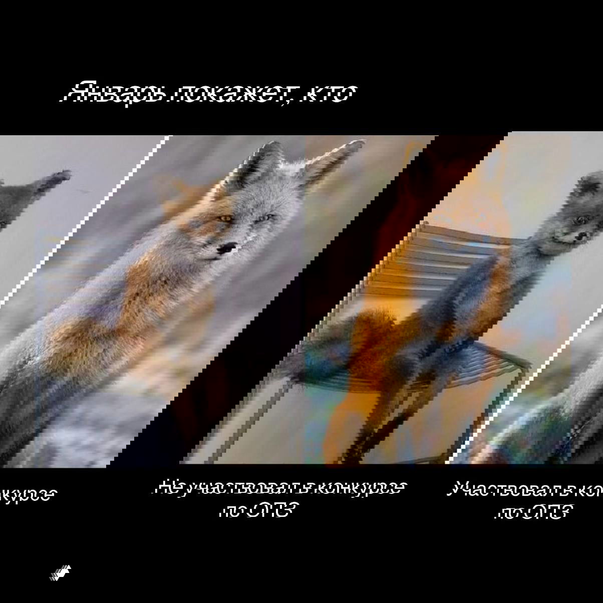 Коллаж: слева игрушечная лиса на стуле, справа настоящая рыжая лиса в природе; изображение иллюстрирует участие в конкурсе по ОПЗ.