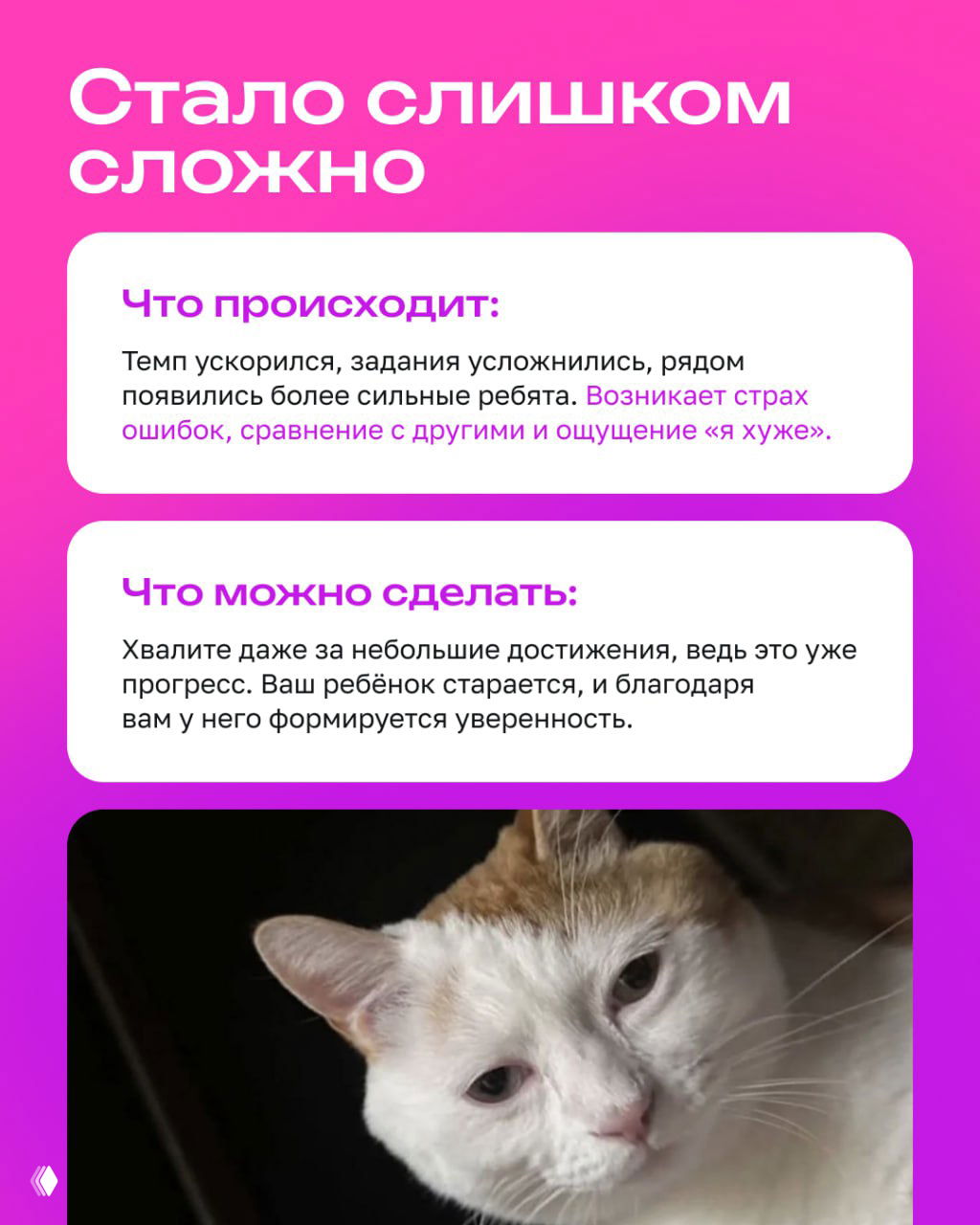 Карточка о том, что стало слишком сложно: блоки с советами и крупный план бело-рыжего кота, иллюстрирующий чувство перегруженности и страха ошибок.