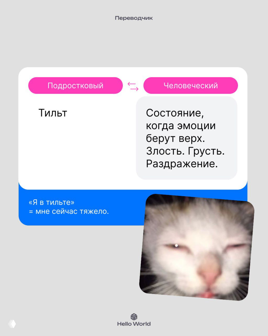 Карточка с термином «Тильт» и пояснением — состояние, когда эмоции берут верх: злость, грусть, раздражение; рядом фотография сильно эмоционального кота.