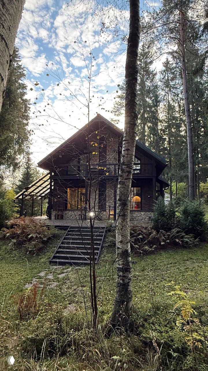 Деревянный загородный коттедж среди высоких елей и лиственных деревьев, подъёмные ступени и естественная растительность вокруг дома осенью/поздней осенью.