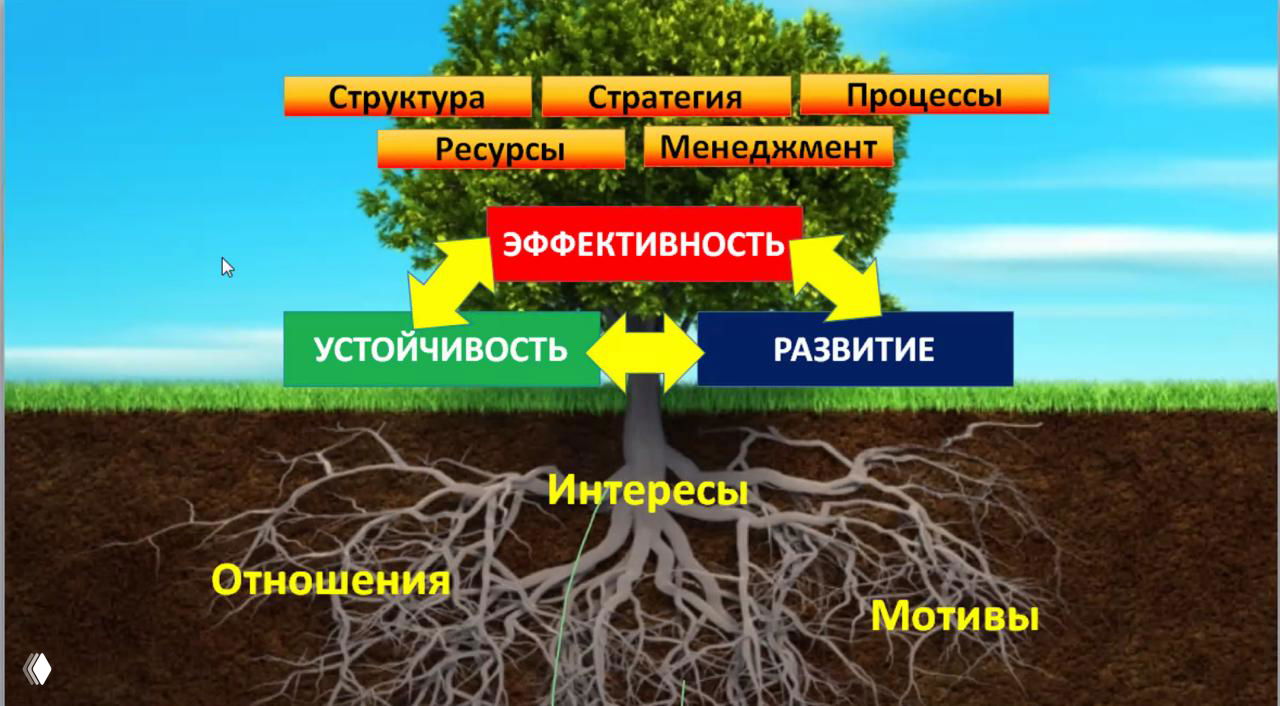 Психология управления — начало курса