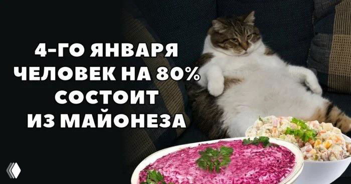 Мем с котом на диване и праздничными салатами (оливье, шуба); на картинке подпись: «4‑го января человек на 80% состоит из майонеза».