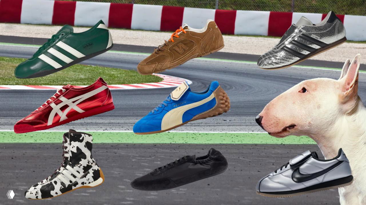 Коллаж из разных «торпедных» кроссовок в цветах и стилях на фоне автотрека; справа видна голова бультерьера.