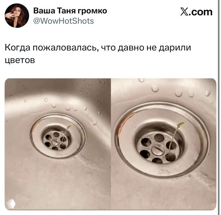 Скриншот твита с двумя фотографиями раковины и сливов, иллюстрирующий шутку о том, что не дарят цветов, видны капли воды и металлическая поверхность.