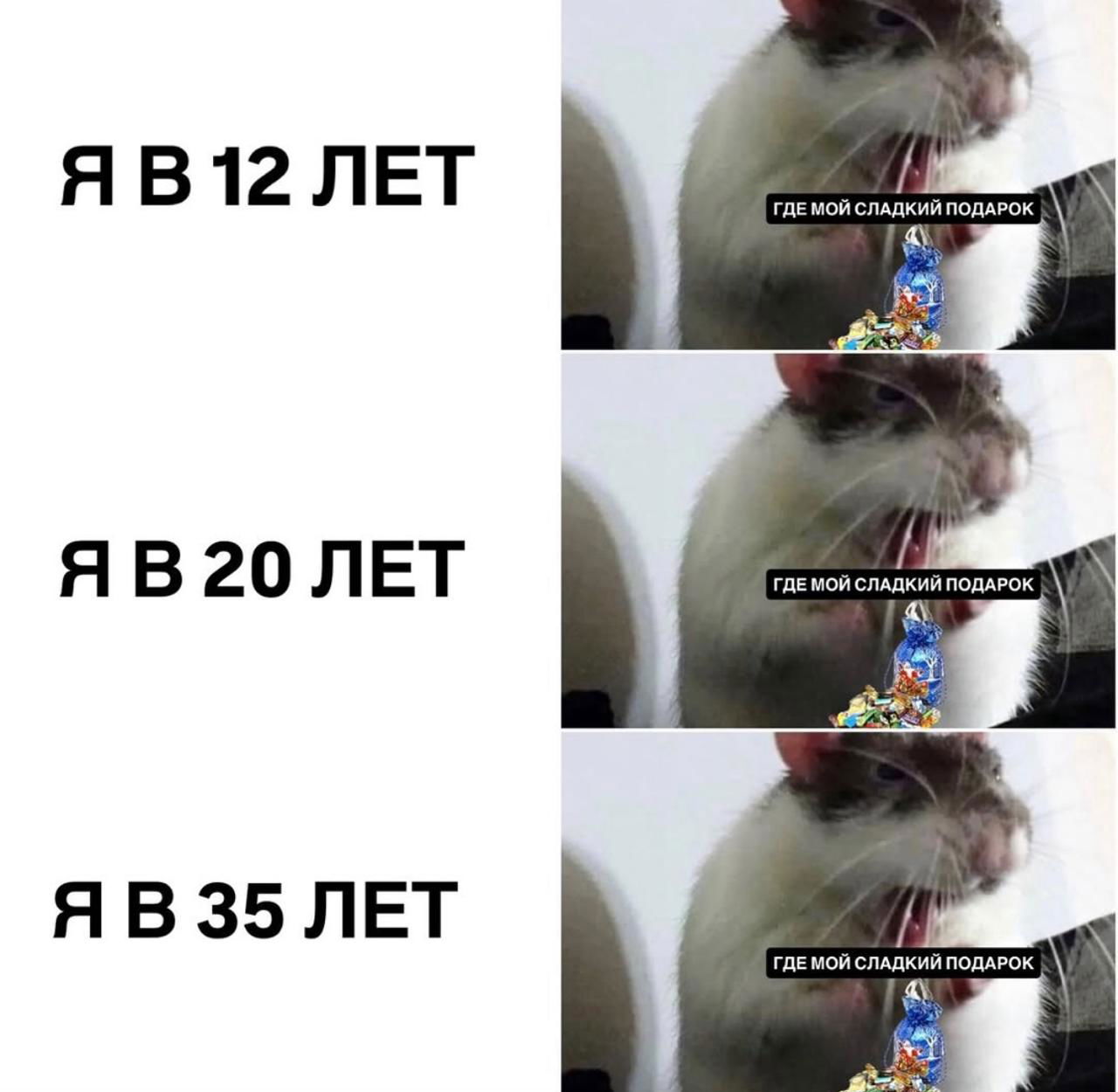 Мем из трёх панелей с крыской: подписи «Я в 12 лет», «Я в 20 лет», «Я в 35 лет» и изображением мешка подарочных конфет.