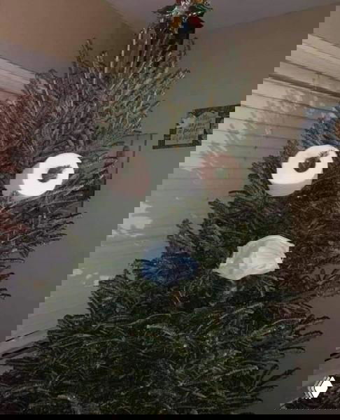 Кадр: новогодняя ёлка в комнате с юмористическим декором — рулоны туалетной бумаги в роли глаз и медицинская маска на «лице» елки.