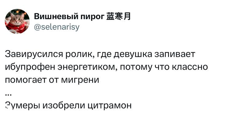 Скриншот твита от пользователя «Вишневый пирог» о девушке, запивающей ибупрофен энергетиком; видно короткий текст и аватар в интерфейсе X.