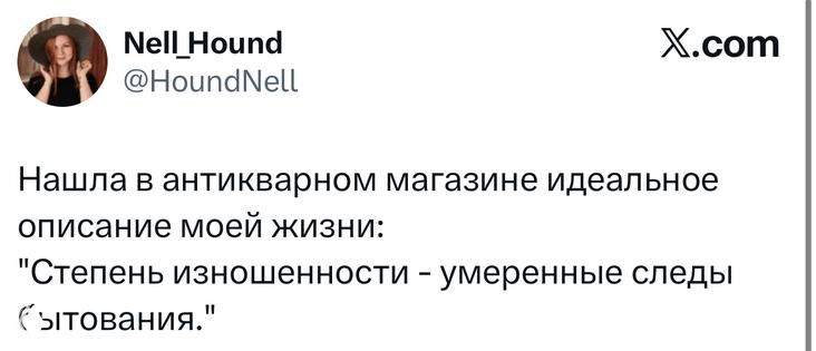 Скриншот твита с комичной фразой о найденном в магазине «идеальном описании моей жизни» и упоминанием «умеренные следы бытования», виден интерфейс сайта.