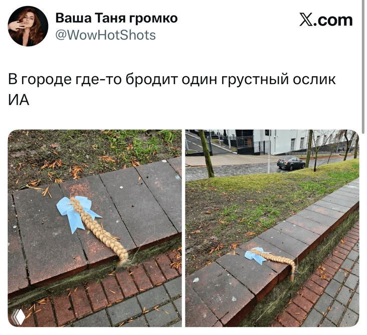 Скриншот твита с фотографиями разбитой или брошенной игрушечной фигурки ослика на тротуаре и подписью о грустном ослике, снимки на улице.