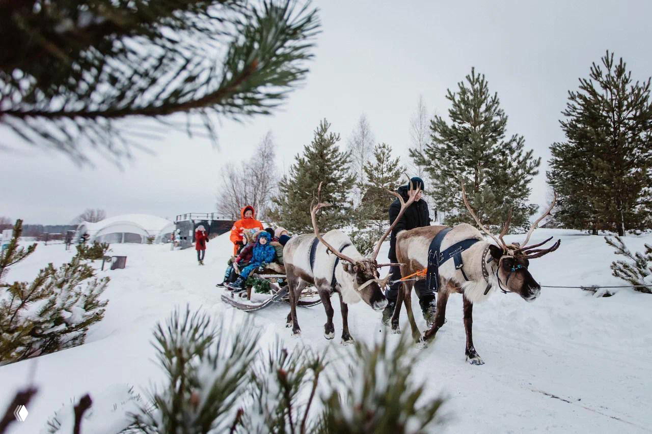 Олени тянут сани по заснеженному ландшафту; в санях люди в тёплой одежде, вокруг сосновый лес и зимняя деревенская атмосфера.