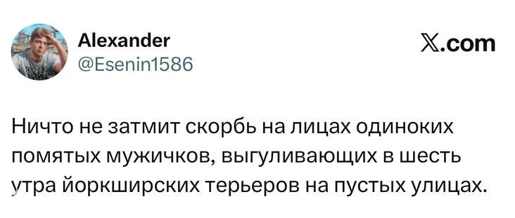 Скриншот твита с короткой шуткой про «помятых мужичков», на изображении видны имя автора, аватар и логотип X.com.