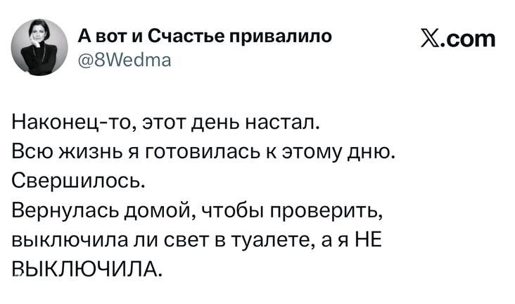 Скриншот твита, в котором автор делится смешной историей о важном дне; видны текст, аватар и логотип X.com.
