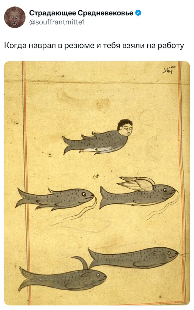Скрин твита с иллюстрацией старинной миниатюры: изображение рыб, одна с человеческим лицом — подпись шутит о резюме и работе.