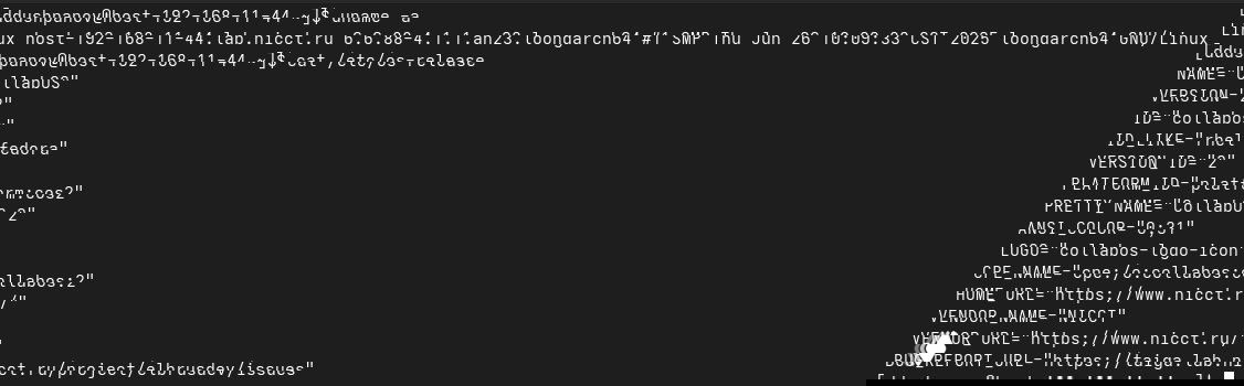 Первый запуск CollabOS 2 на LoongArch
