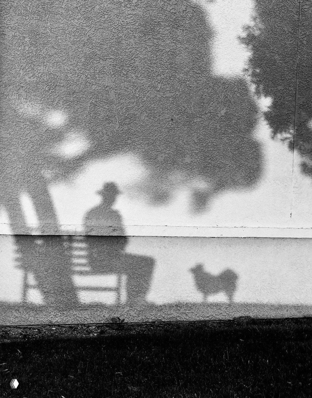 Черно‑белая теневая композиция: силуэт человека на скамье и тень небольшой собачки на стене, минималистичная поэтическая сцена прогулки на открытом воздухе.