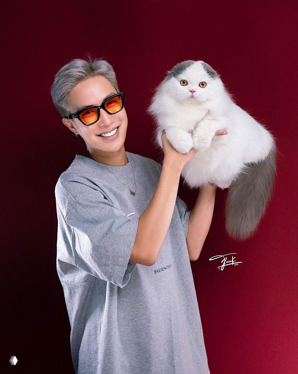 Человек держит пушистого шотландского вислоухого кота на красном фоне; портретная студийная фотография участника выставки.