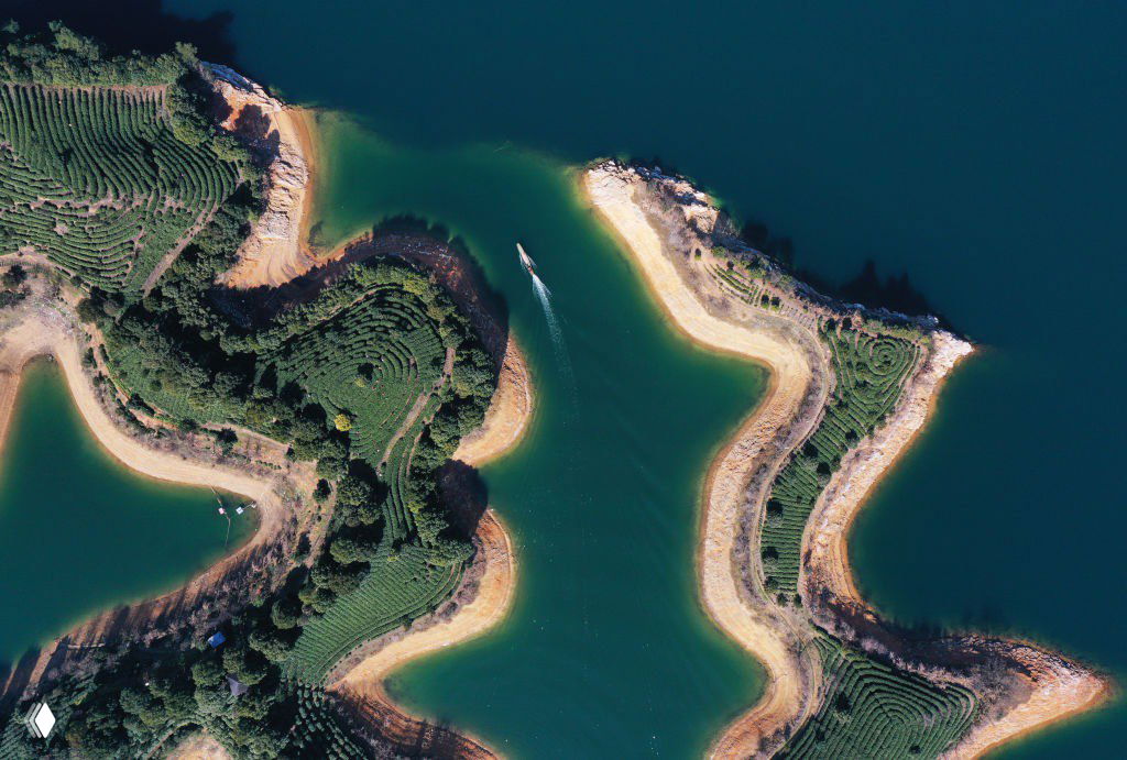 Аэрофото чайных плантаций в Ханчжоу: зелёные террасы вдоль извилистых берегов озера Цяньдаоху, лодка в водном проливе.