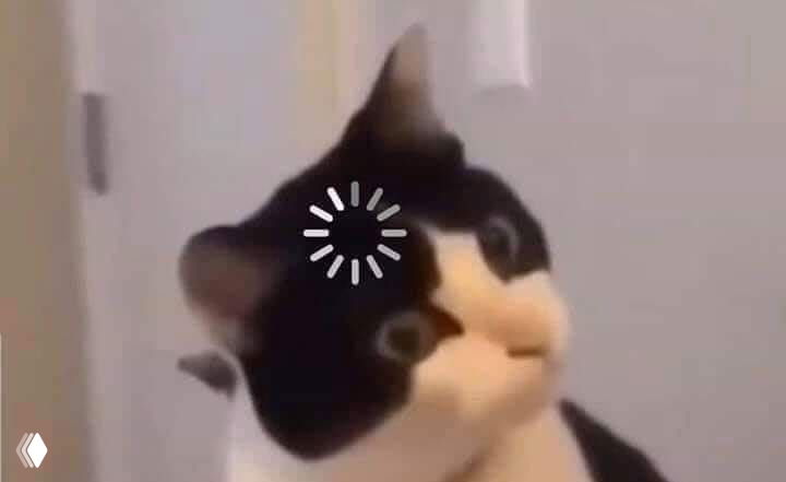 Крупный план черно‑белой кошки с удивлённым выражением лица и наложенным индикатором загрузки — мем, символизирующий «забитую голову» и усталость после работы.