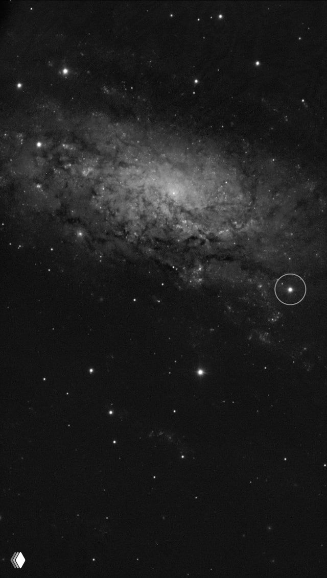 Чёрно‑белая астрономическая съёмка галактики NGC 3621 с отмеченным кружком, указывающим положение недавно обнаруженной сверхновой 2024 ggi.