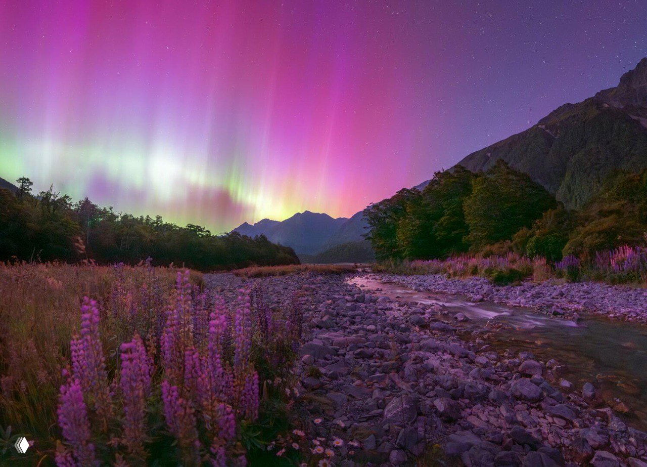 Статуя на прибрежном утёсе, перед которой раскинулось зелёное и розовое северное сияние над тихим заливом и песчаным пляжем.