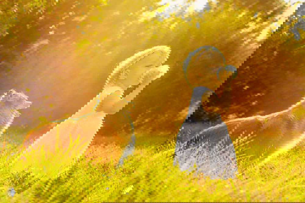 Маленькая девочка стоит на солнечной лужайке рядом с шелти — собака внимательно сидит рядом, создавая образ надёжного семейного питомца на свежем воздухе.