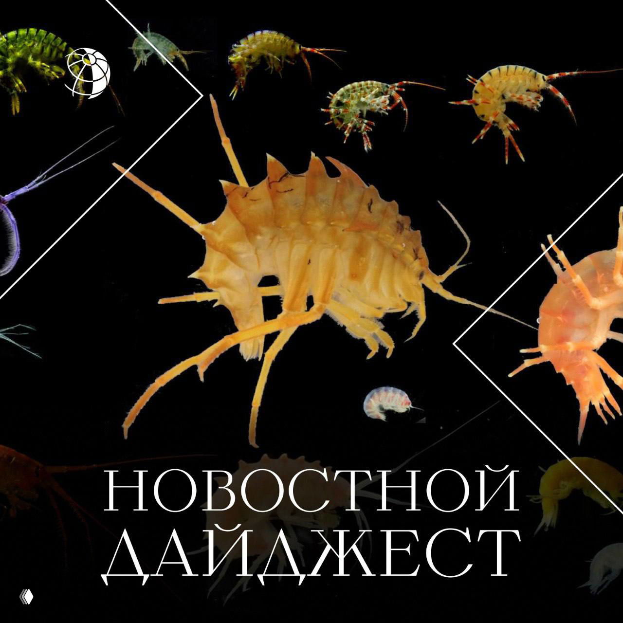 Коллаж мелких рачков и морских ракообразных на тёмном фоне вместе с заголовком «Новостной дайджест» — иллюстрация подборки научных и путешественнических новостей.