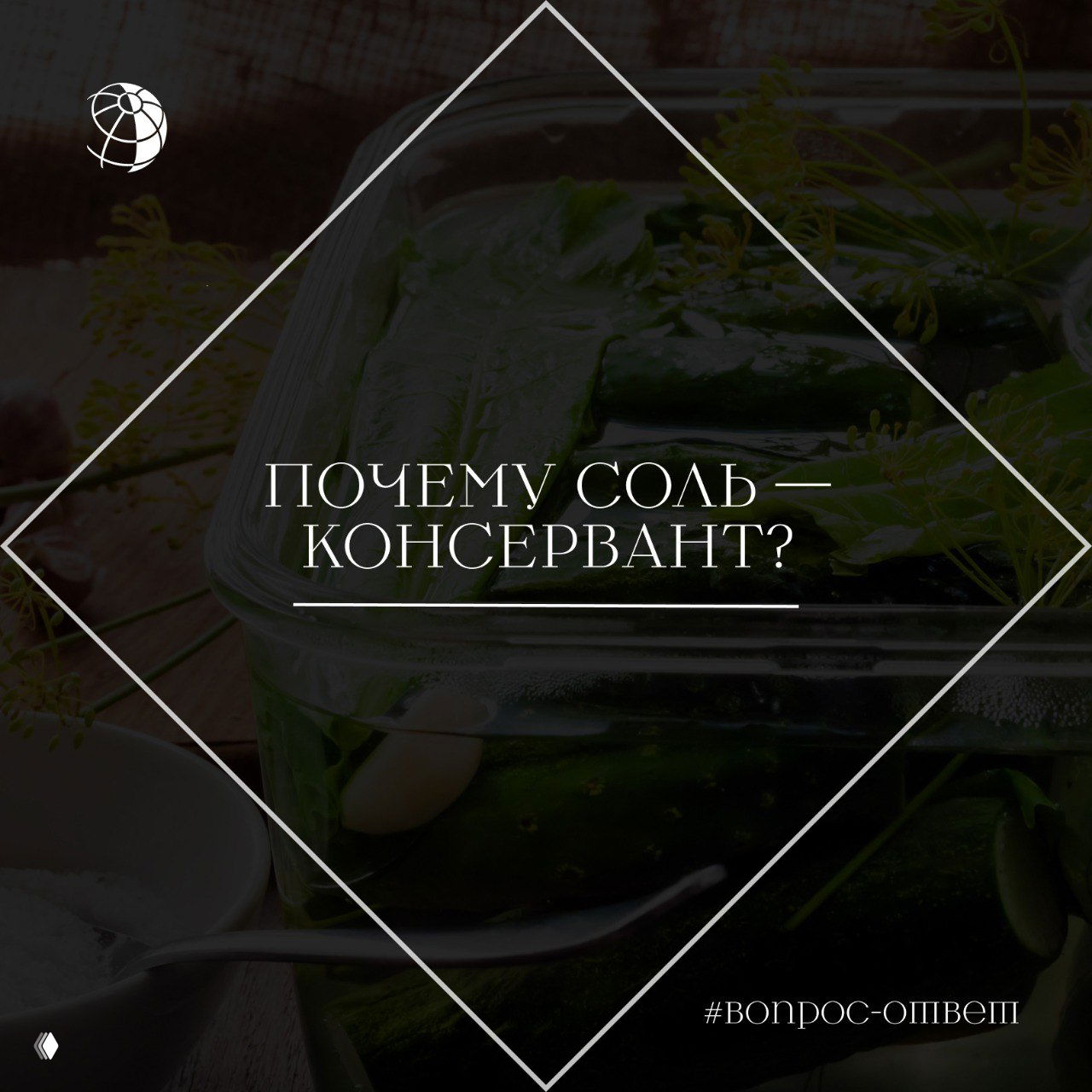 Банка маринованных огурцов с укропом и чесноком на деревянной доске; наложен текст «Почему соль — консервант?» как визуал к объяснению механизма консервации.
