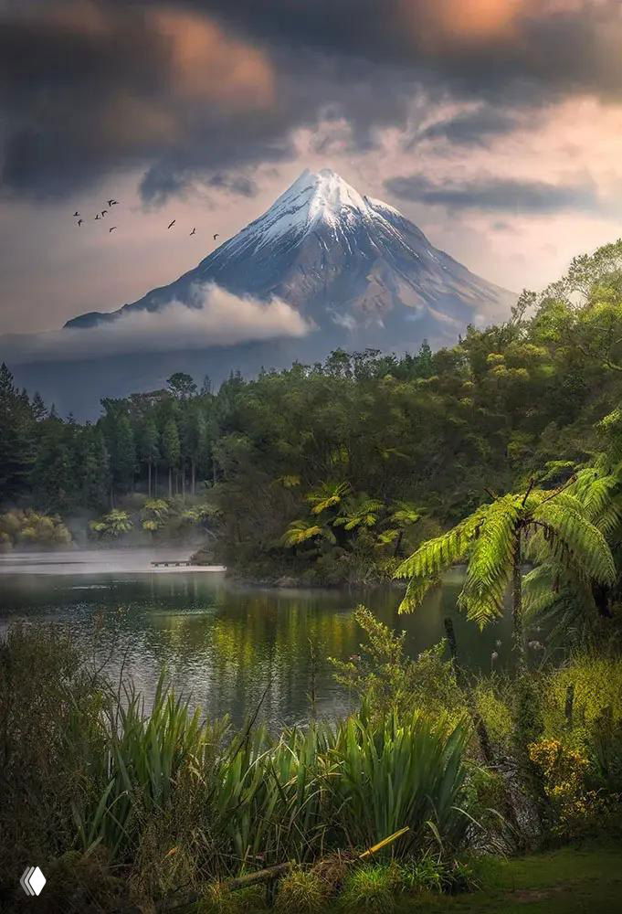 Панорамный пейзаж Новой Зеландии: заснеженная коническая вершина над спокойным озером, вокруг густые папоротники и хвойный лес, наградная фотография Lukas Trixl.