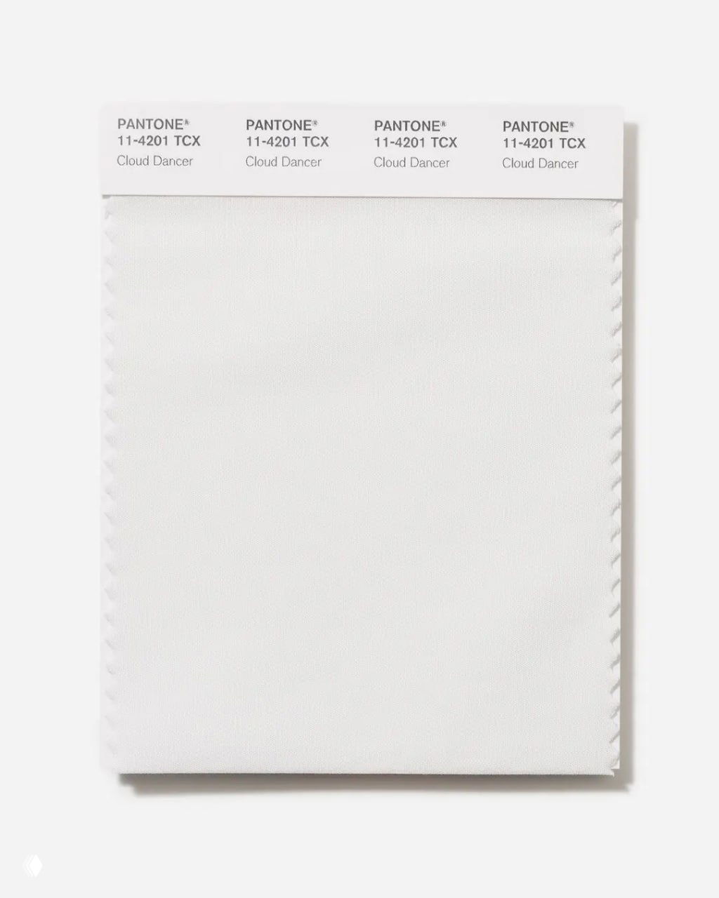 Образец Pantone 11-4201 TCX с оттенком Cloud Dancer — бледно‑белая текстура на нейтральном фоне, демонстрация цвета года 2026.