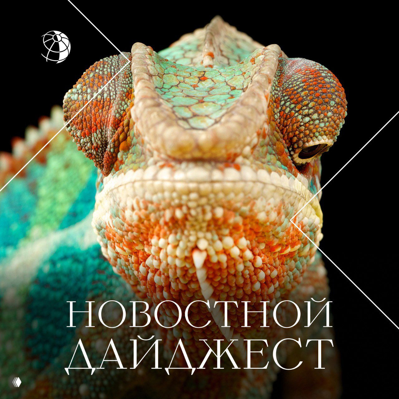 Крупный план разноцветного хамелеона на тёмном фоне с графическим текстом «Новостной дайджест» — обложка подборки новостей.