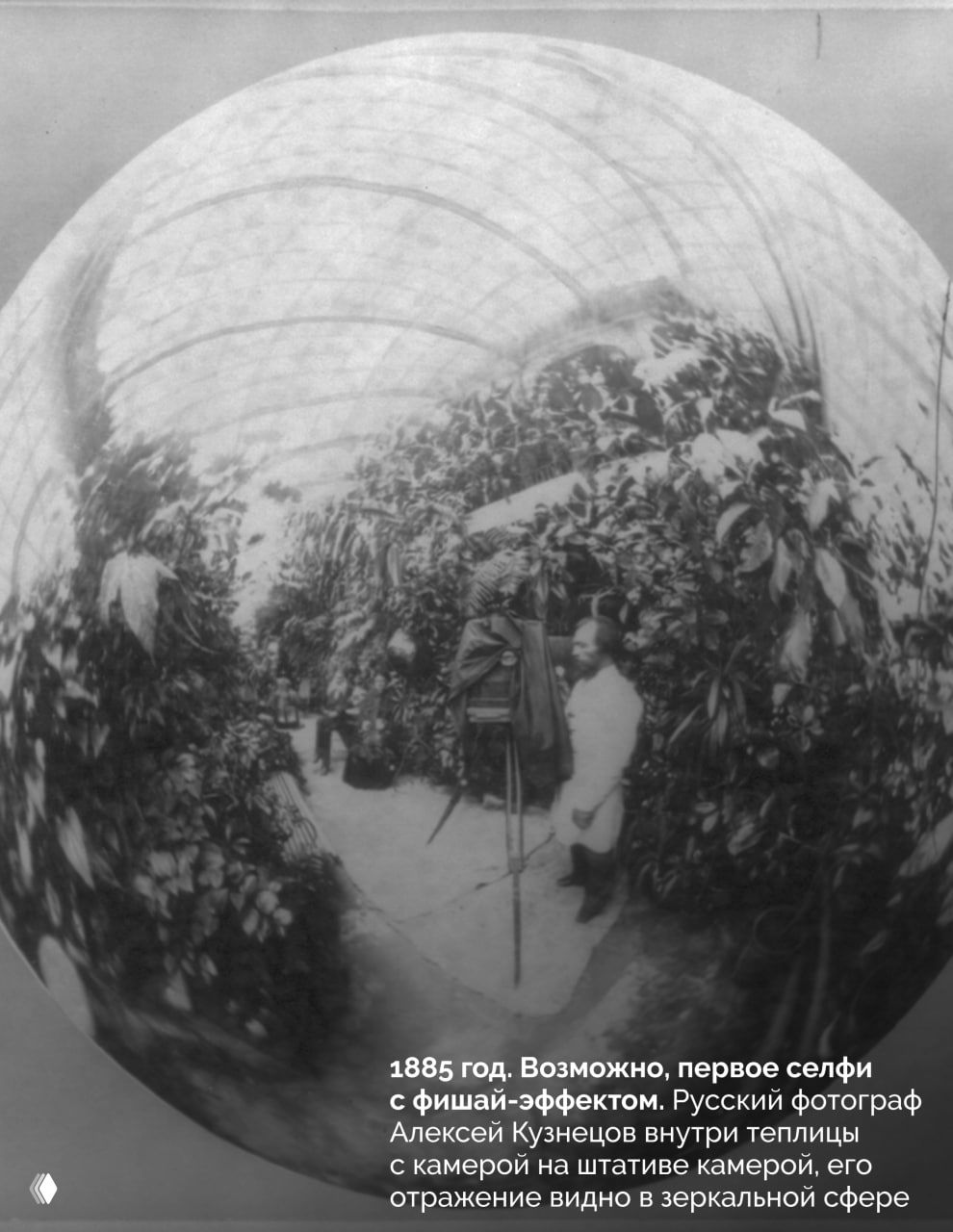 Фишай‑эффект: фотография 1885 года, отражение Алексея Кузнецова видно в зеркальной сфере внутри теплицы, возможный ранний пример 'селфи'.