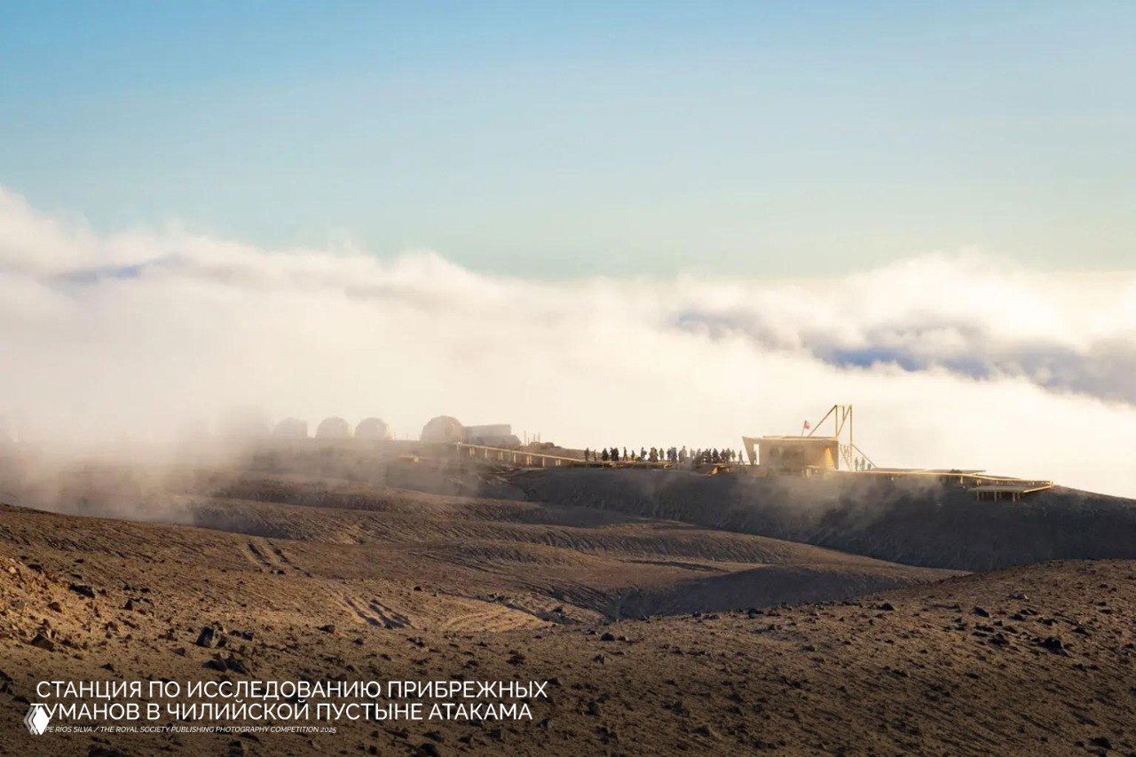 Исследовательская станция в чилийской пустыне Атакама на холме с поднимающимся туманом и мягким утренним светом — пейзажный снимок научной базы.
