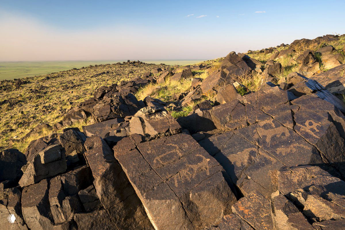 Пустыня Гоби: пески составляют лишь 3% территории