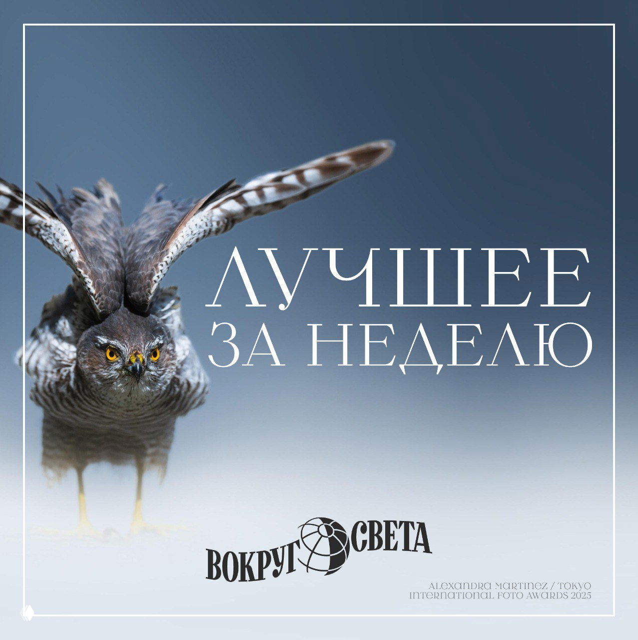 Традиционная подборка статей на выходные