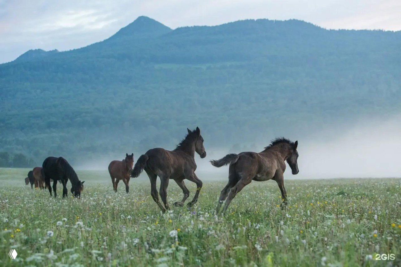 Гора Кирель (Республика Башкортостан)