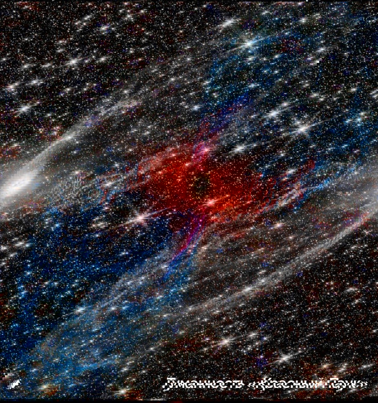 Широкое поле со звёздами и нитевидными облаками пыли вокруг центрального яркого объекта — изображение туманности, напоминающей паутину и ветвящиеся структуры.