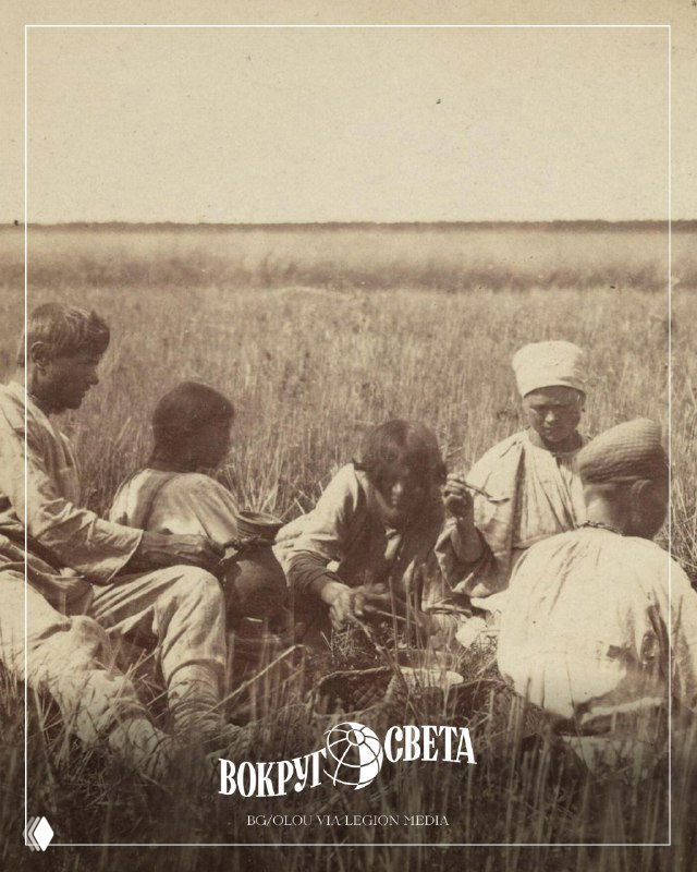 Групповой кадр крестьян на поле, винтажный сельский этюд из серии «Русские типы», композиция с несколькими фигурами и сельским ландшафтом.