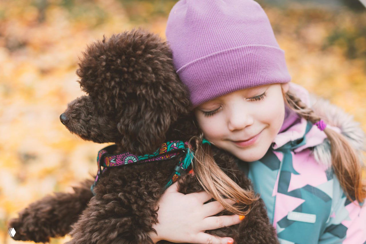 Девочка обнимает коричневого пуделя в осеннем парке — иллюстрация влияния собак на микробиом и эмоциональное состояние подростков.