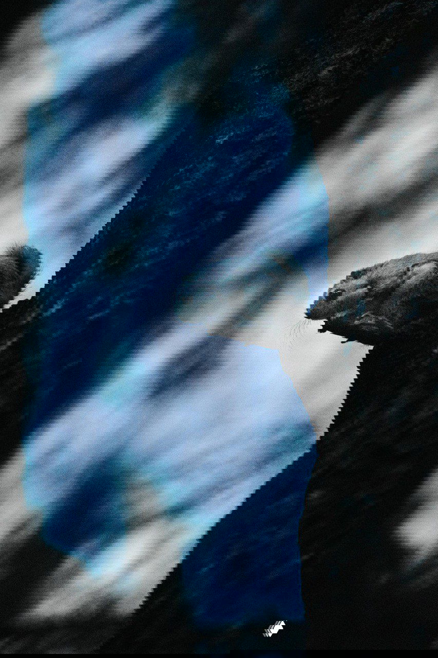 Одна белка‑летяга сидит на выступе ствола в сумеречном лесу; низкое освещение, акцент на форме и позе животного, сильная атмосферная зернистость, снимок Туомаса Хейнонена.